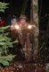 dscn3746.jpg