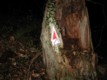 dscn3751.jpg