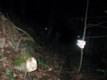 dscn3752.jpg