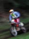 dscn3530.jpg
